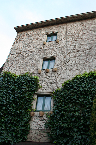 �T�X�y���X��