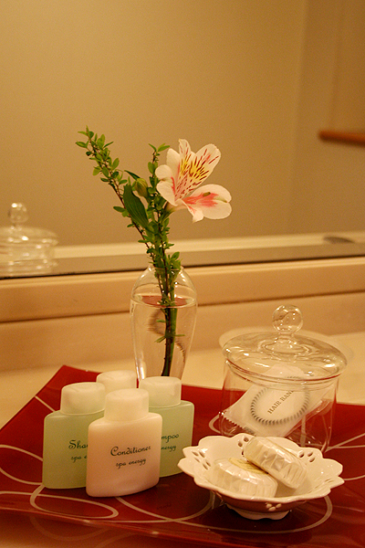 ����ȂƂ���ɂ��Ԃ�