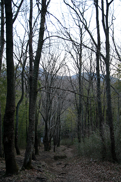 �΂ɂ��ǂ蒅���Ȃ�