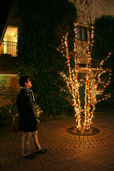 ���C�g�A�b�v