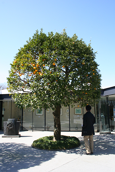 �؂�����