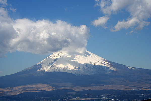 �����Ă݂����ǃ_��������