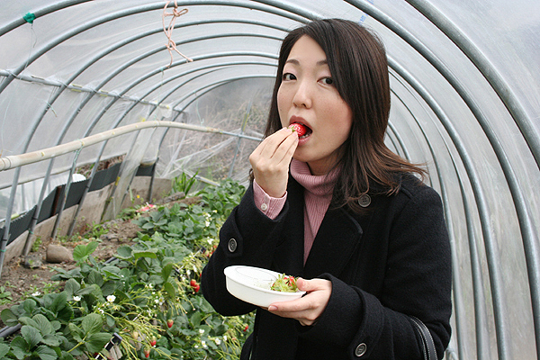 �C�`�S���Ȃ��I