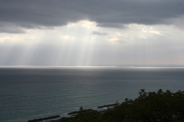 �C�Ɏ˂���