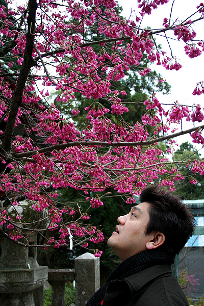 �~�Ɍ�����U��