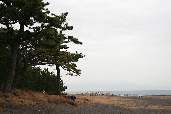 �{���͂����ɂ���͂�